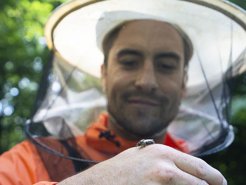 Image 3 - Découvrir les abeilles d'Oreste - visite du rucher avec dégustation